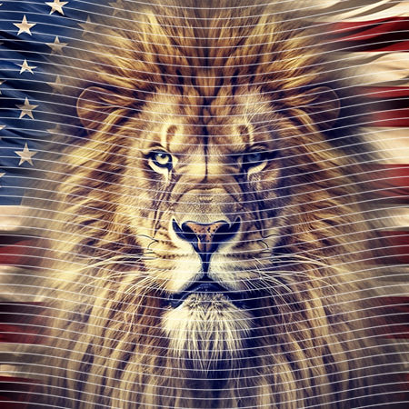 20oz integrate-EJ-10672